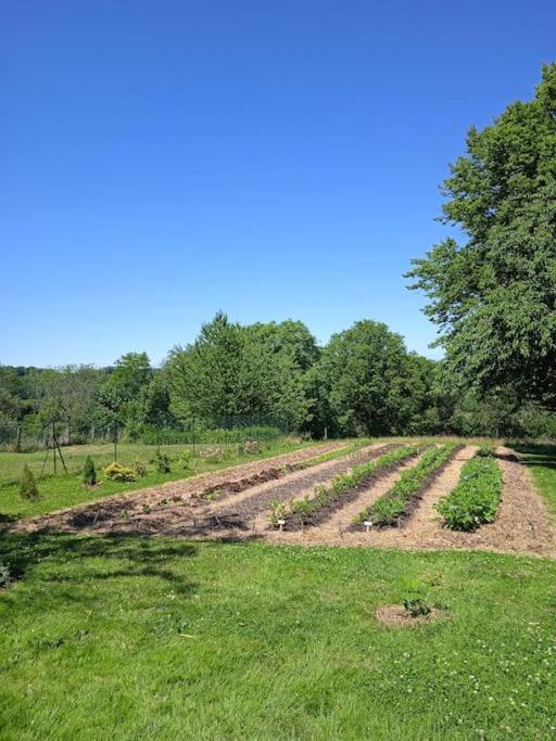 Les Jardins Des 3 Provinces- Gite Montcharvot Exterior foto