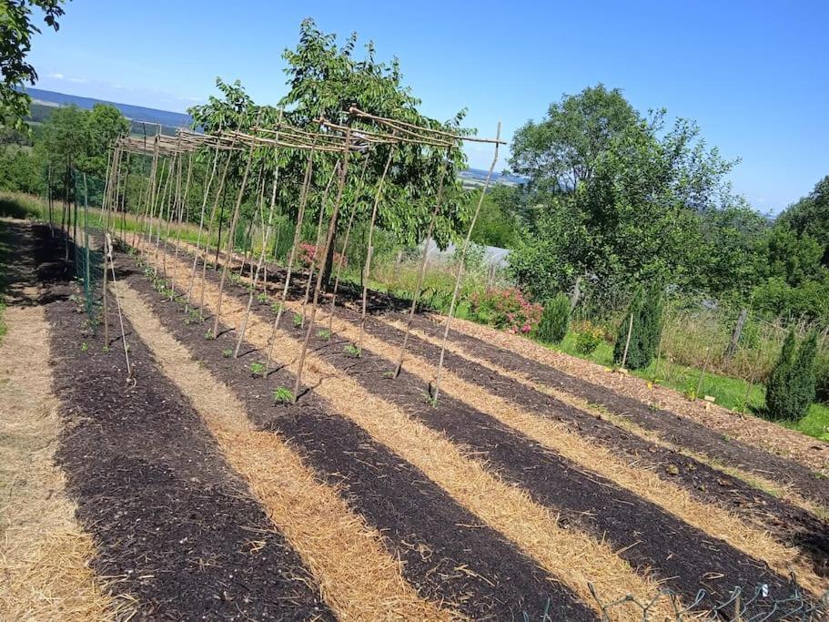Les Jardins Des 3 Provinces- Gite Montcharvot Exterior foto
