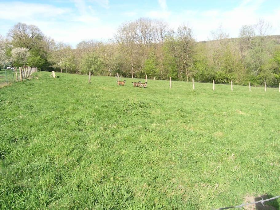 Les Jardins Des 3 Provinces- Gite Montcharvot Exterior foto